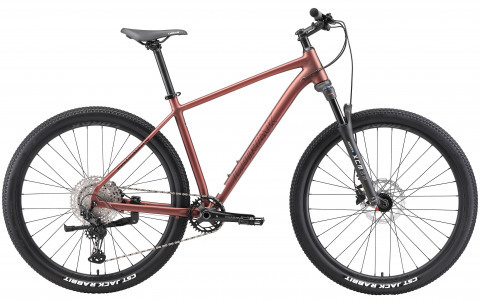 LORAK Sel 9950 XT Матовый Коричневый рама 19 (на рост 172-183)